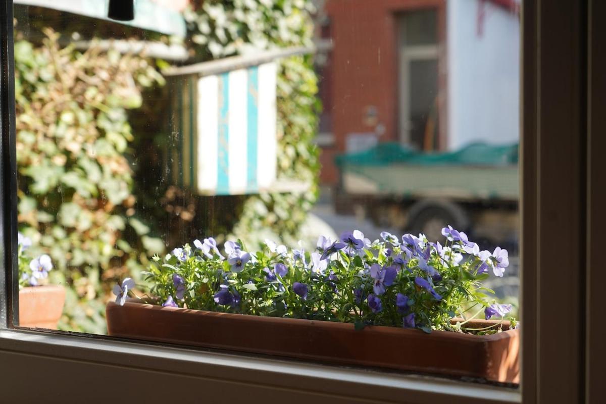 Renovated Appt In 20min From Bruges Apartamento *